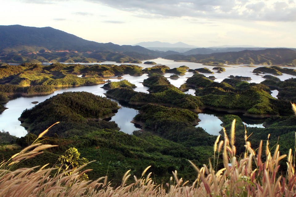 Khu bảo tồn thiên nhiên Tà Đùng có lớp thảm thực vật rừng rộng lớn, tỷ lệ che phủ đến 85% diện tích vùng lõi của khu bảo tồn, trong đó rừng nguyên sinh chiếm hơn 48%.