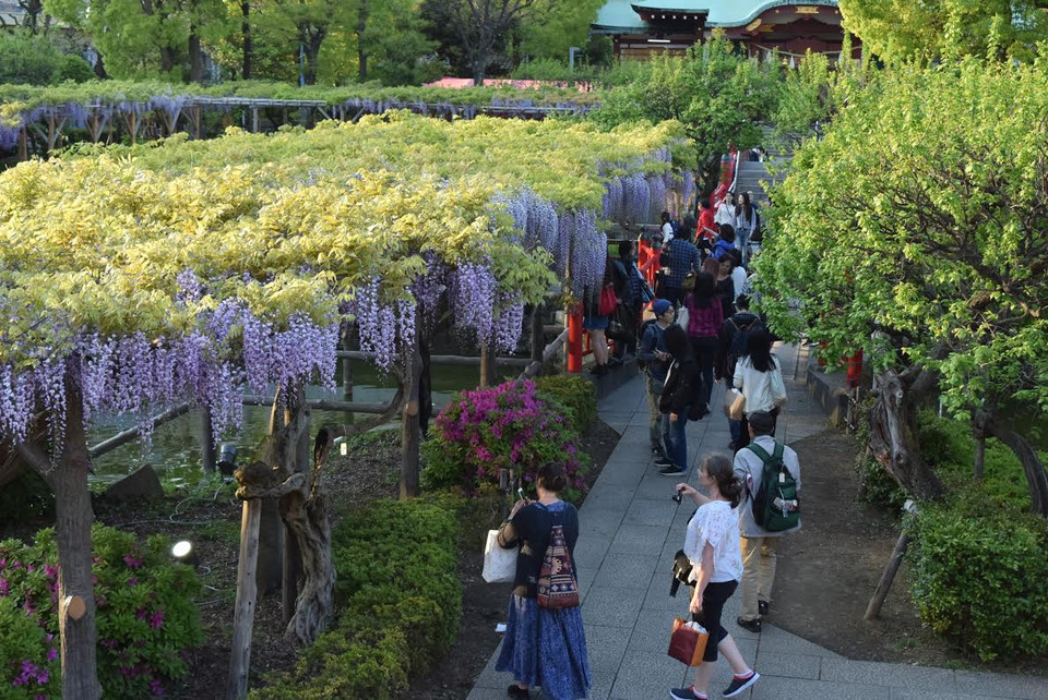 (Ảnh: Nguyễn Tuyến/Vietnam+)