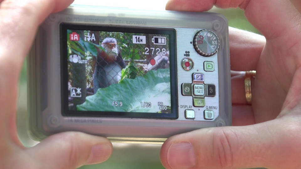 Bà Sally Jewell, Bộ trưởng Nội vụ Hoa Kỳ ghi lại khoảnh khắc cá thể linh trưởng đang ăn. (Ảnh: Tùng Lâm/Vietnam+) 