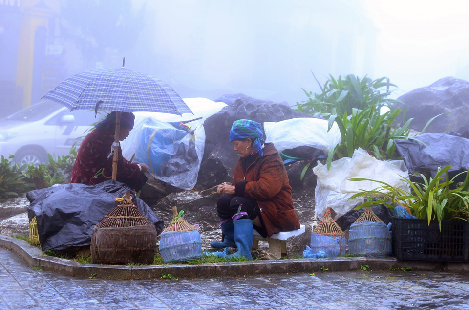 Người dân Sapa mưu sinh trong giá rét. (Ảnh: Quốc Khánh/TTXVN)