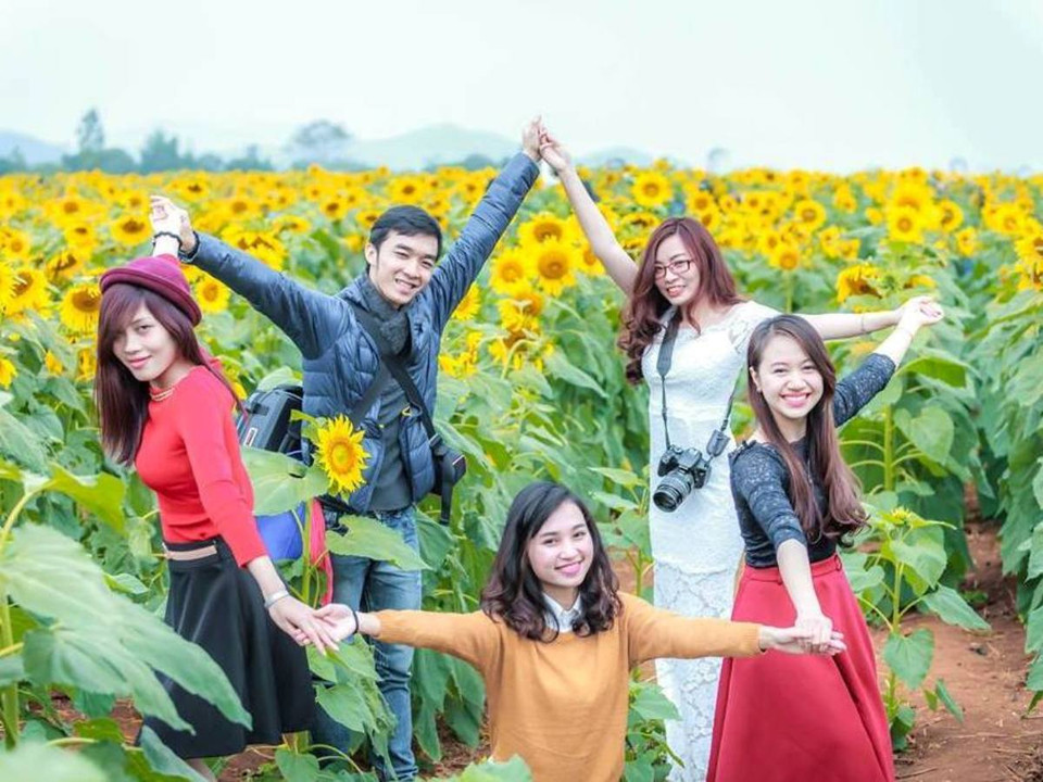 Rừng hoa hướng dương thu hút ngày càng đông du khách và giới trẻ đến chiếm ngưỡng, thỏa sức chụp ảnh. (Ảnh: Mai Huyền/Vietnam+)