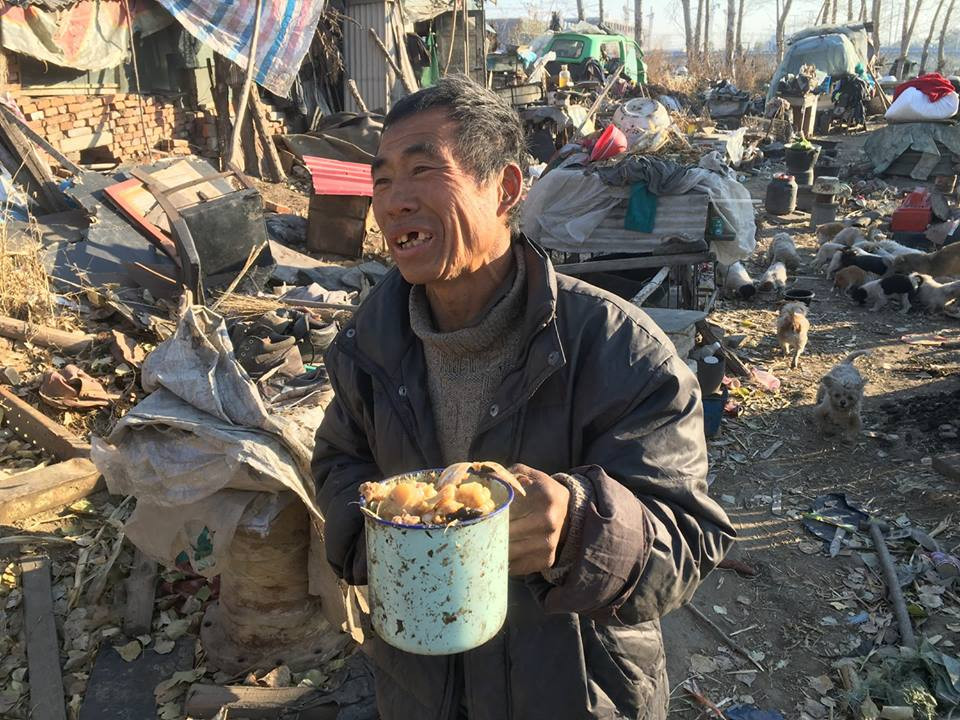 Ông Yusheng và các chú chó sống qua ngày bằng thức ăn thừa từ các nhà hàng địa phương. (Nguồn: CCTV)