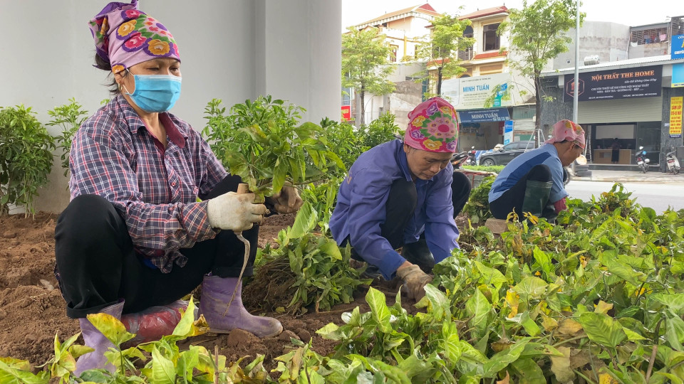 Theo chủ đầu tư cho biết có khoảng 10 giống cây xanh được trồng ngăn cách giữa hai bên đường bộ trên toàn tuyến. (Ảnh: Hào Nguyễn/Vietnam+)