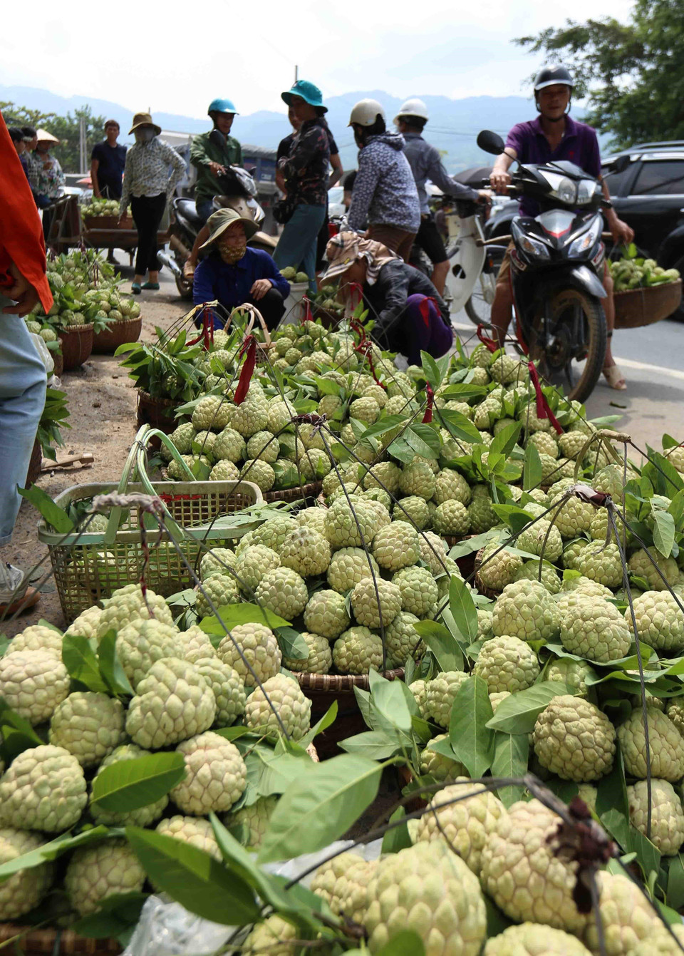Chợ na ở thị trấn Đồng Bành, huyện Chi Lăng. (Ảnh: Vũ Sinh/TTXVN)
