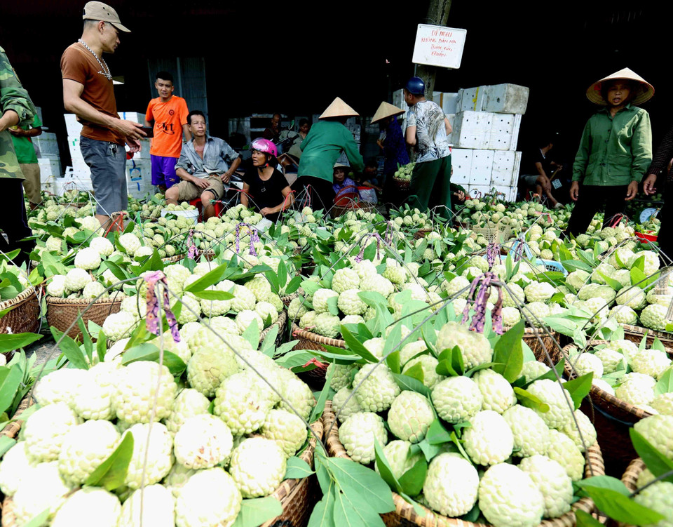 Chợ na ở thị trấn Đồng Bành, huyện Chi Lăng. (Ảnh: Vũ Sinh/TTXVN)
