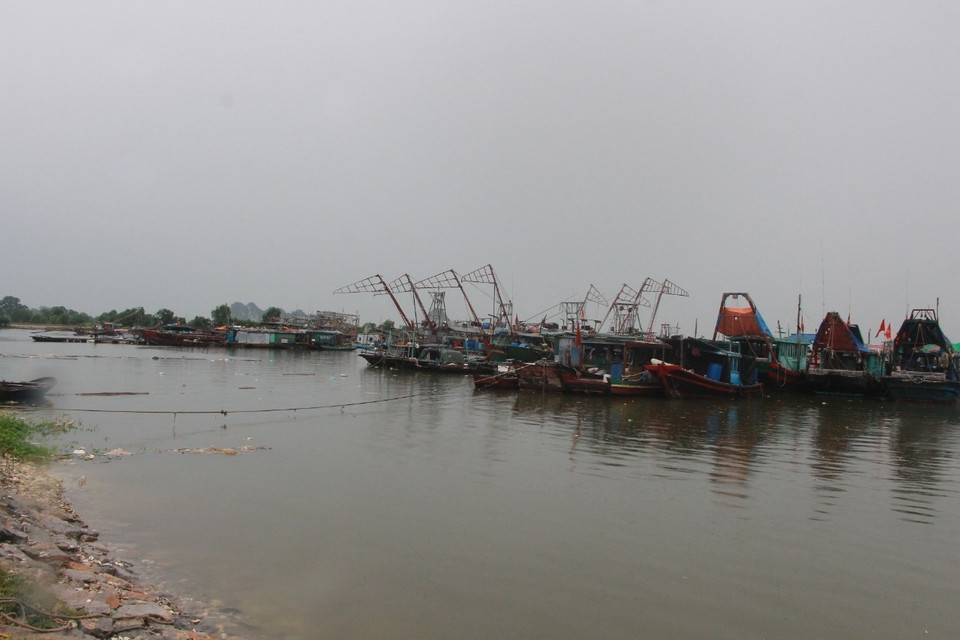 Các tàu cá đã về neo đậu tại điểm tránh trú phường Tân An, thị xã Quảng Yên. (Ảnh: TTXVN phát)