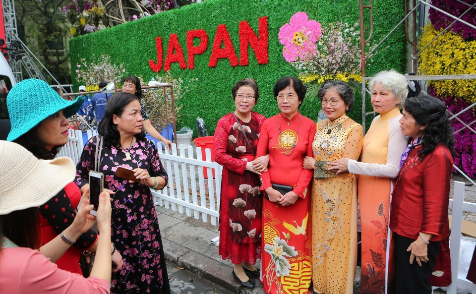 Du khách thích thú chụp ảnh với hoa anh đào Nhật Bản.(Ảnh: Thành Đạt/TTXVN)