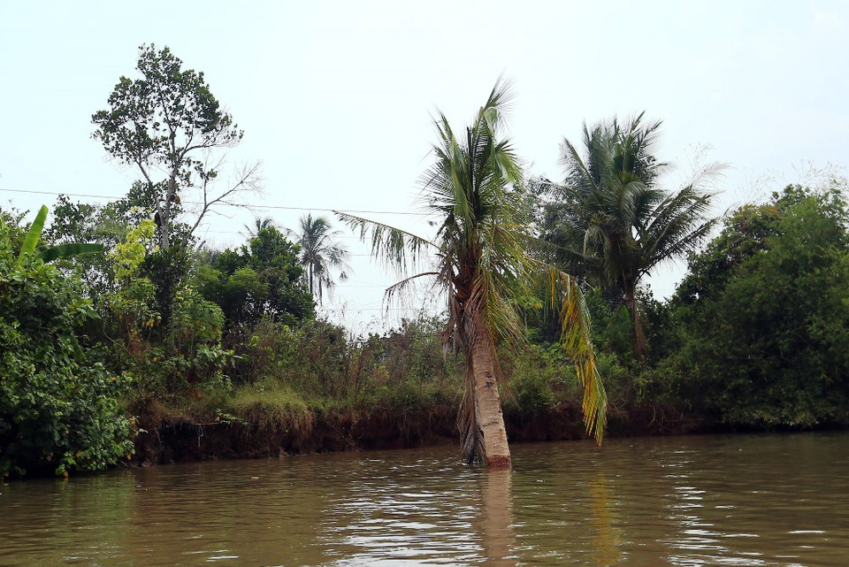 Tình trạng sạt lở đất khiến mảnh vườn của người dân không còn đất để canh tác. (Ảnh: Huy Hùng/Vietnam+)