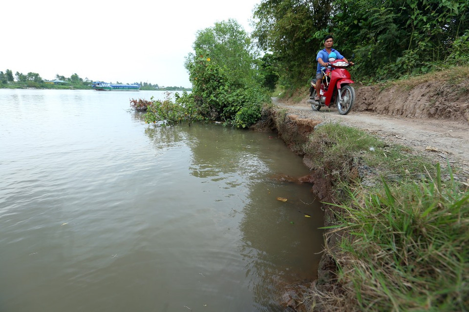 Đường đi lại trong ấp, xã giờ chỉ còn vỏn vẹn một mét đường mòn hoặc không còn lối đi. (Ảnh: Huy Hùng/Vietnam+)