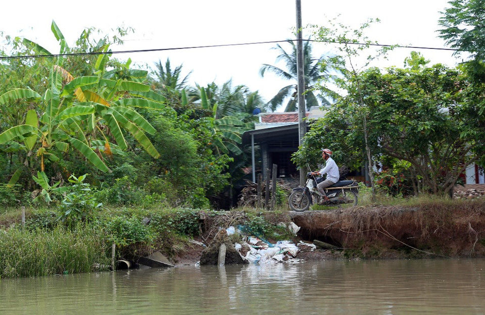 Có đoạn đê chưa được kè đã bị ngoạm sâu tạo thành những hốc đất chông chênh. (Ảnh: Huy Hùng/Vietnam+)