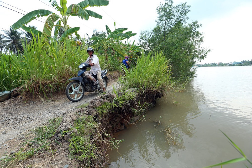 Kênh Chợ Gạo đang bị sạt lở nghiêm trọng, tuyến đường ven kênh có thể bị nuốt trôi'theo dòng nước. (Ảnh: Huy Hùng/Vietnam+)