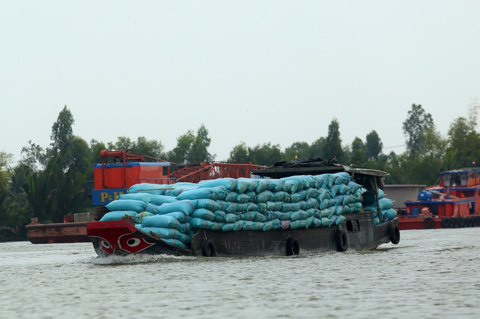 Lượng tàu thuyền qua kênh Chợ Gạo ngày càng gia tăng trong khi giai đoạn 2 của dự án nâng cấp, cải tạo vẫn chưa triển khai khiến khu vực sạt lở càng trầm trọng. (Ảnh: Huy Hùng/Vietnam+)