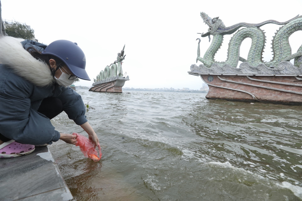 Người dân thả cá chép tại khu vực Hồ Tây sáng 25/1/2022 (23 tháng chạp). (Ảnh: Minh Quyết/TTXVN)