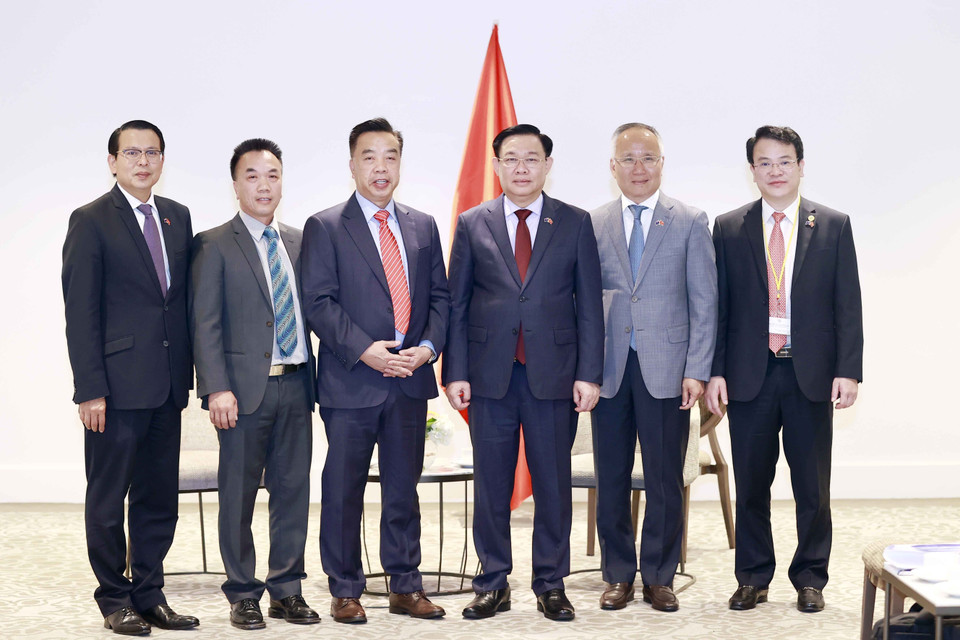 Chủ tịch Quốc hội Vương Đình Huệ tiếp ông Don Hà, Giám đốc điều hành Công ty Remax New Zealand. (Ảnh: Doãn Tấn/TTXVN)