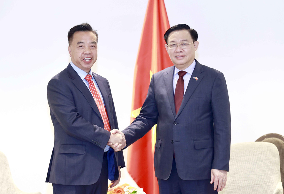 Chủ tịch Quốc hội Vương Đình Huệ tiếp ông Don Hà, Giám đốc điều hành Công ty Remax New Zealand. (Ảnh: Doãn Tấn/TTXVN)