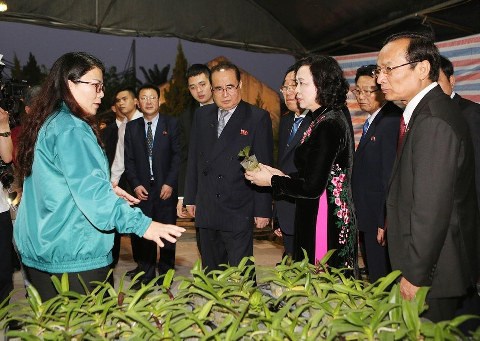 Đoàn đại biểu cấp cao Đảng Lao động Triều Tiên đến thăm mô hình vườn ươm, trồng hoa lan của Hợp tác xã Đan Hoài, huyện Đan Phượng, Hà Nội. (Ảnh: Dương Giang/TTXVN)