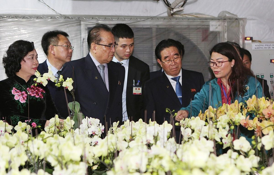 Đoàn đại biểu cấp cao Đảng Lao động Triều Tiên đến thăm mô hình vườn ươm, trồng hoa lan của Hợp tác xã Đan Hoài, huyện Đan Phượng, Hà Nội. (Ảnh: Dương Giang/TTXVN)