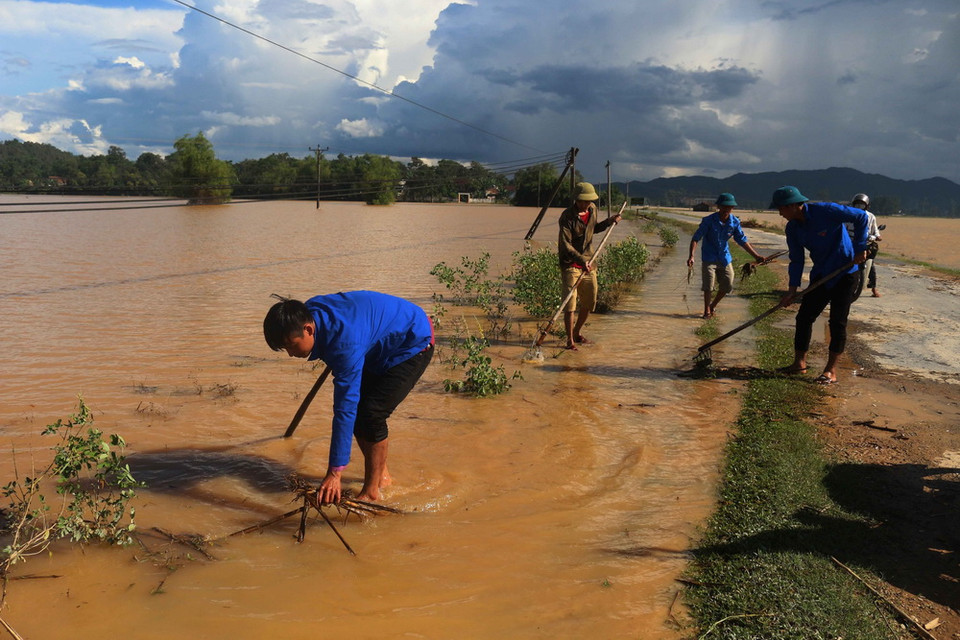 Hơn 3.600ha các loại cây trồng và thủy sản bị thiệt hại. (Ảnh: Nguyễn Oanh/TTXVN)