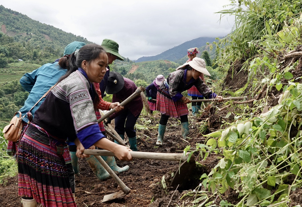 Lực lượng dân quân các xã và nhân dân tập trung khắc phục các tuyến đường bị sạt lở tại bản Đề Sủa, xã Lao Chải. (Ảnh: Tuấn Anh/TTXVN)