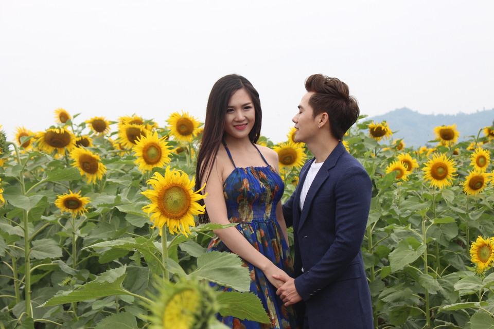 Cánh đồng hoa được xem là điểm đến thú vị cho các bạn trẻ muốn thể hiện tình cảm với người mình yêu. (Ảnh: Hùng Võ/Vietnam+)