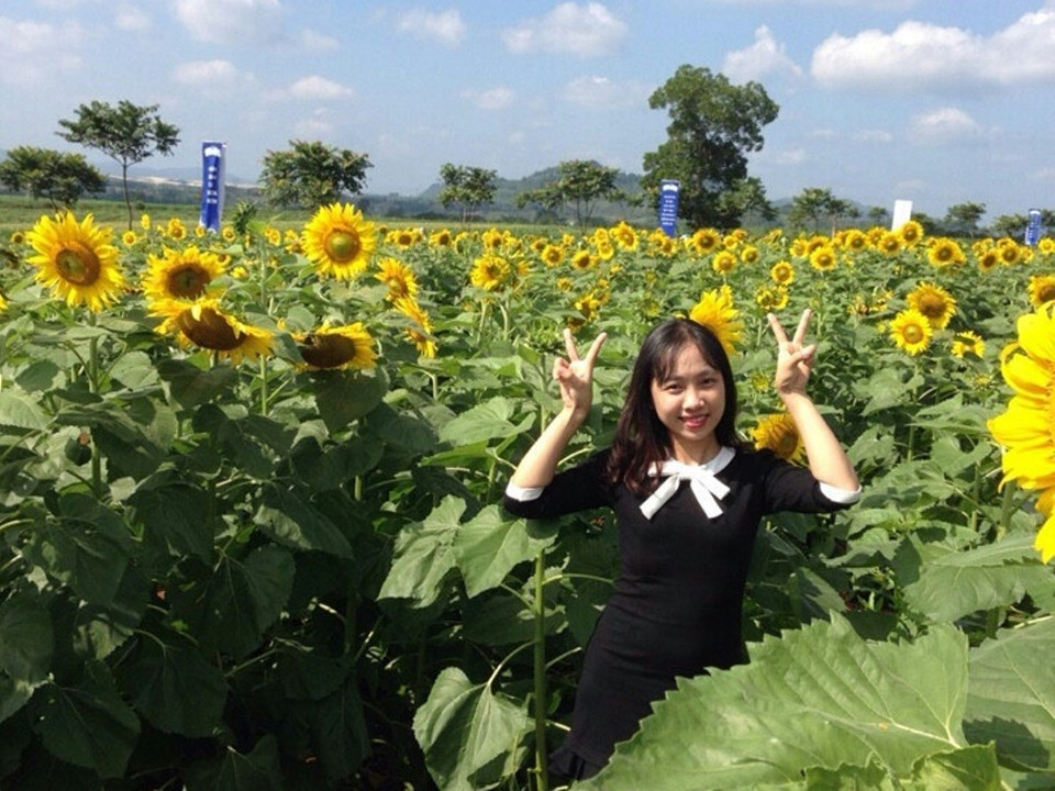 Các bạn trẻ đến với cánh đồng hoa hướng dương ở Nghĩa Đàn để đắm mình trong vẻ đẹp của thiên nhiên. (Ảnh: Hùng Võ/Vietnam+)