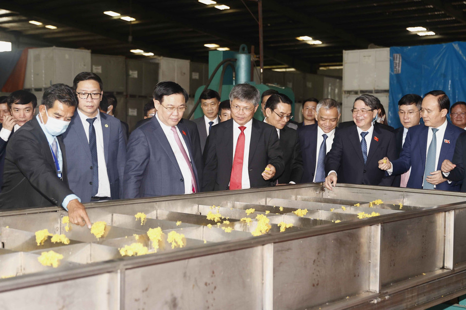 Chủ tịch Quốc hội Vương Đình Huệ thăm xưởng chế biến mủ cao su của Công ty TNHH Cao su Việt-Lào. (Ảnh: Doãn Tấn/TTXVN)