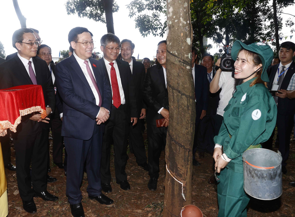 Chủ tịch Quốc hội Vương Đình Huệ thăm hỏi công nhân khai thác mủ cao su của Công ty TNHH Cao su Việt-Lào. (Ảnh: Doãn Tấn/TTXVN)