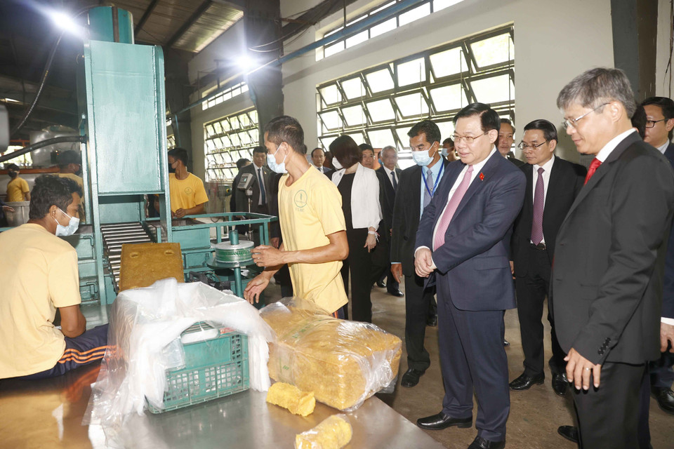 Chủ tịch Quốc hội Vương Đình Huệ thăm xưởng chế biến mủ cao su của Công ty TNHH Cao su Việt-Lào. (Ảnh: Doãn Tấn/TTXVN)