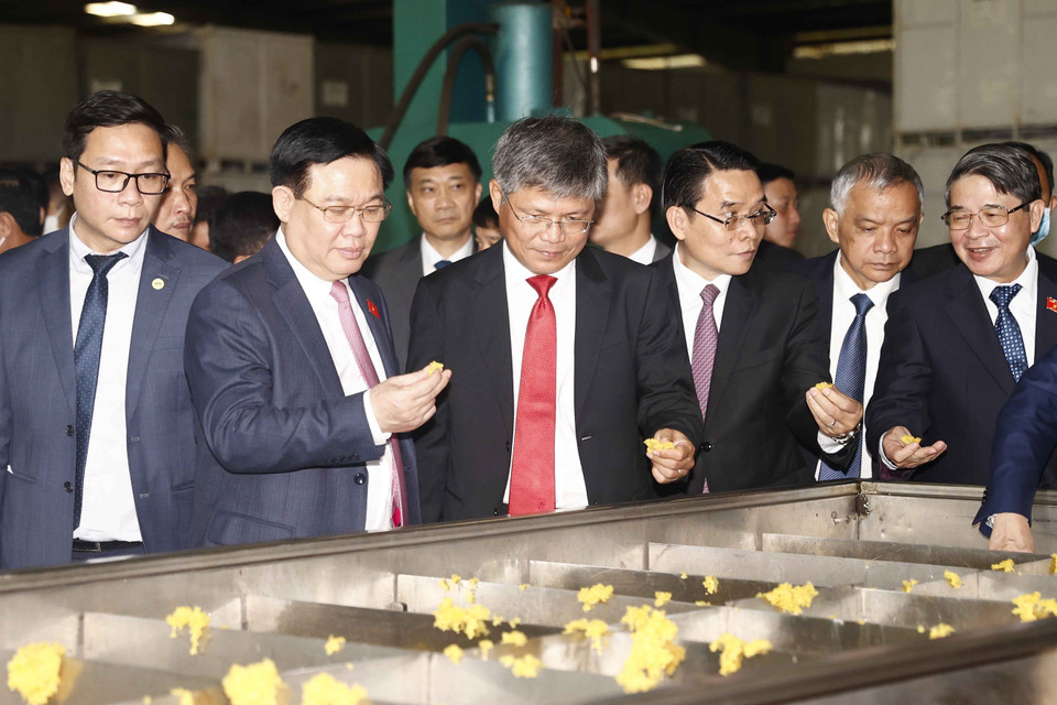 Chủ tịch Quốc hội Vương Đình Huệ thăm xưởng chế biến mủ cao su của Công ty TNHH Cao su Việt-Lào. (Ảnh: Doãn Tấn/TTXVN)