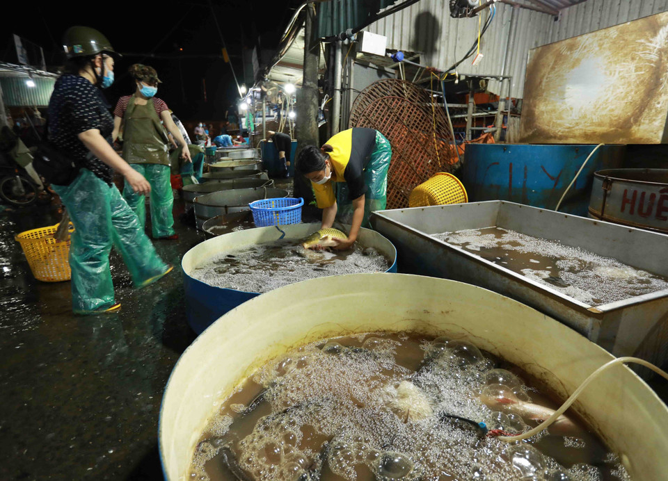 Các tiểu thương chọn mua cá luôn giữ khoảng cách an toàn để phòng, chống dịch. (Ảnh: Vũ Sinh/TTXVN)