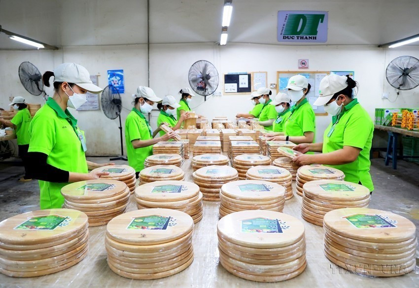 Nữ công nhân Công ty cổ phần Chế biến Gỗ Đức Thành (Quận Gò Vấp, Thành phố Hồ Chí Minh) sản xuất đồ gia dụng, nhà bếp và đồ chơi bằng gỗ cho thị trường trong nước và xuất khẩu. (Ảnh: Hồng Đạt/TTXVN)