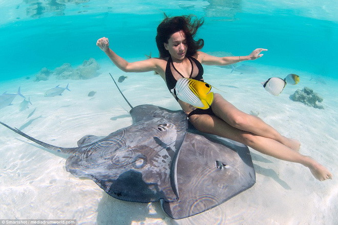 Các người mẫu thoải mái tạo dáng trước những chú cá đuối nguy hiểm.