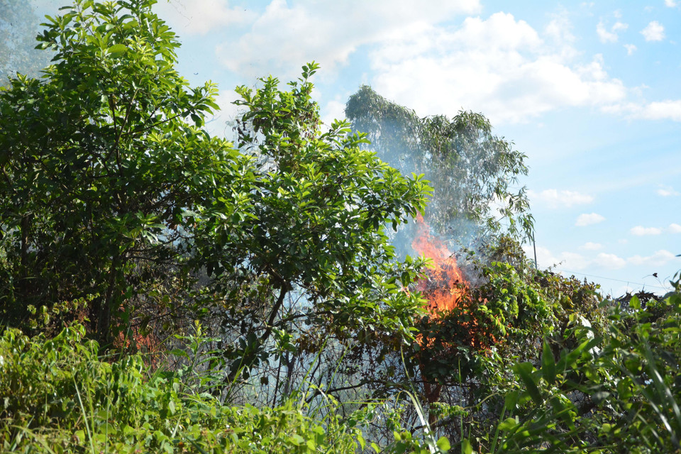 Đám cháy lan rất nhanh do có gió to thổi mạnh. (Ảnh: Văn Dũng/TTXVN)