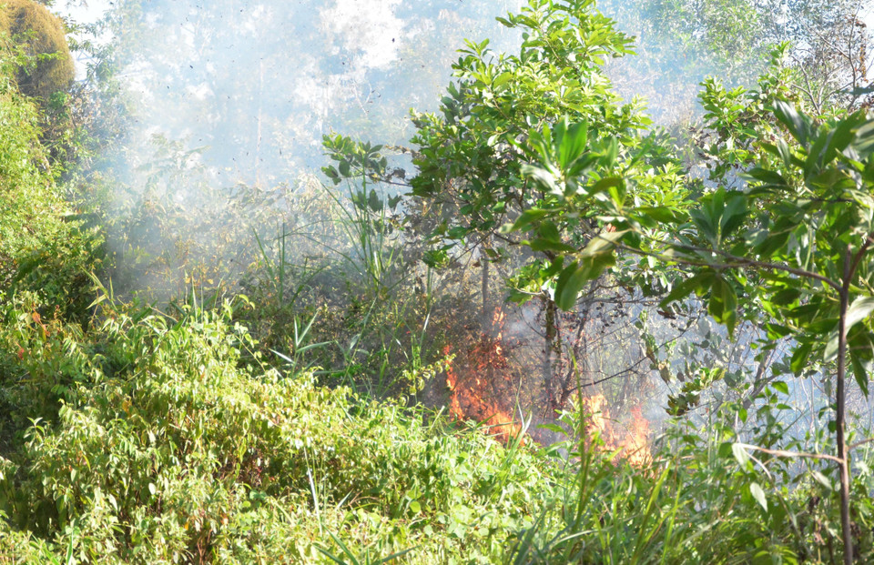 Đám cháy lan rất nhanh do có gió to thổi mạnh. (Ảnh: Văn Dũng/TTXVN)