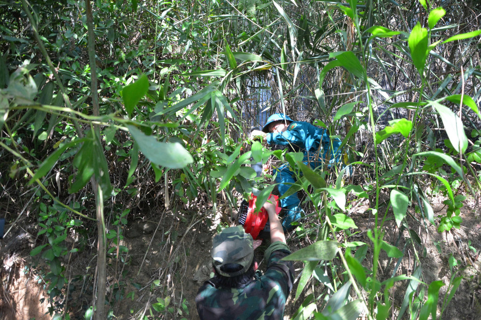 Lực lượng tham gia chữa cháy bằng mọi cách dập tắt lửa đang lan nhanh. (Ảnh: Văn Dũng/TTXVN)