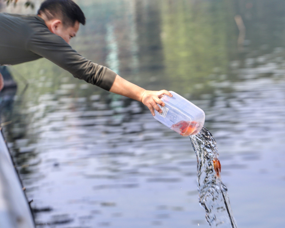 Người dân thả cá chép, tiễn ông Công, ông Táo về trời. (Ảnh: Tuấn Đức/TTXVN)