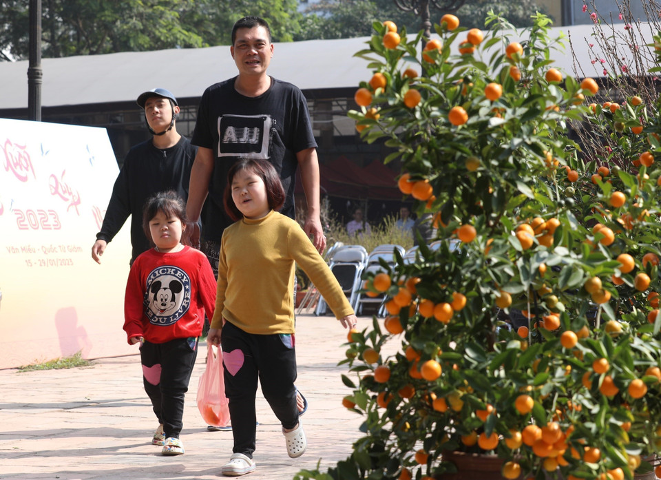  Trong ngày ông Công, ông Táo, cá chép là vật cúng không thể thiếu. (Ảnh: Tuấn Đức/TTXVN)