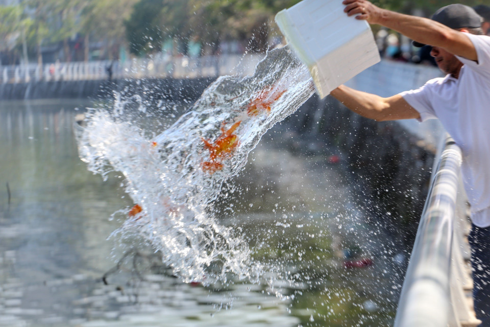 Người dân thả cá chép, tiễn ông Công, ông Táo về trời. (Ảnh: Tuấn Đức/TTXVN)