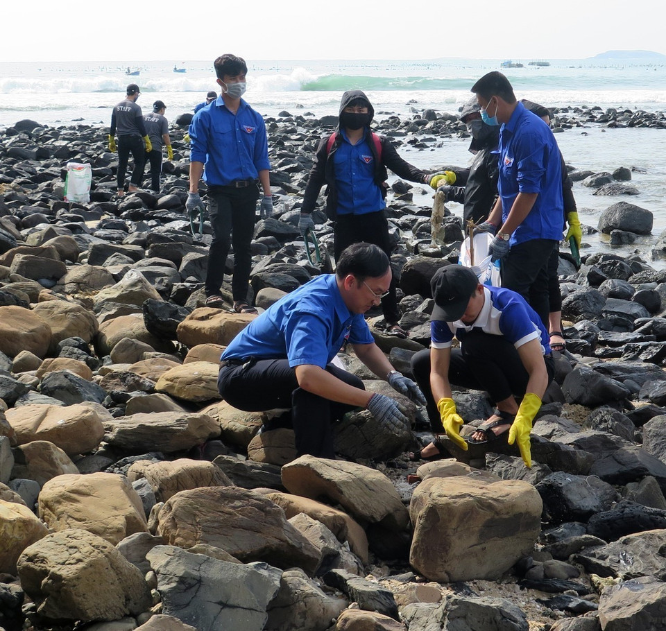 Đoàn viên, thanh niên tỉnh Phú Yên tham gia dọn rác khu vực biển Hòn Yến trong chương trình Sạch biển Hòn Yến - đẹp mãi Phú Yên” do Tổ chức Bảo tồn thiên nhiên thế giới (WWF) phối hợp với Sở Tài nguyên và Môi trường, Ủy ban nhân dân huyện Tuy An tổ chức. (Ảnh: Xuân Triệu/TTXVN)