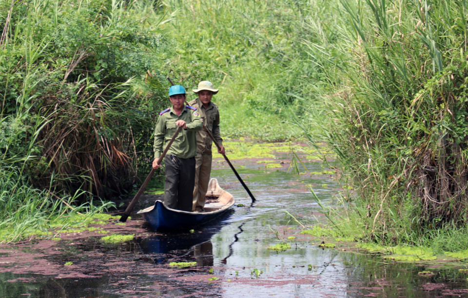 Lực lượng chức năng tuần tra, kiểm tra khô hạn, mực nước trong rừng để dự báo cấp độ cháy trên lâm phần rừng tràm U Minh Thượng (Kiên Giang). (Ảnh: Lê Huy Hải/TTXVN)
