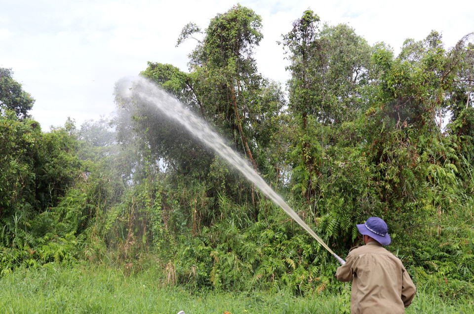 Vận hành máy bơm phun xịt nước phòng cháy, chữa cháy rừng trên lâm phần Vườn quốc gia U Minh Thượng (Kiên Giang). (Ảnh: Lê Huy Hải/TTXVN)