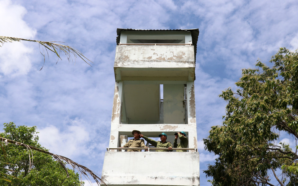 Tháp canh lửa rừng trên lâm phần Vườn quốc gia U Minh Thượng (Kiên Giang). (Ảnh: Lê Huy Hải/TTXVN)