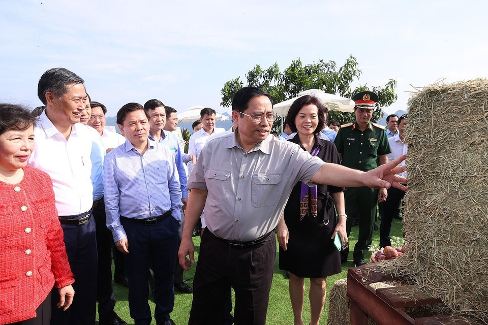 Thủ tướng Phạm Minh Chính xem sản phẩm nông nghiệp tại lễ khởi công dự án Tổ hợp Thiên đường sữa Mộc Châu. (Ảnh: Dương Giang/TTXVN)