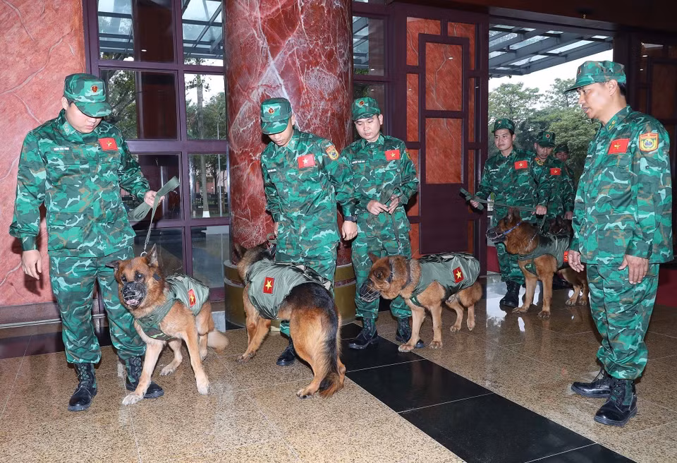 Đội chó nghiệp vụ làm công tác cứu hộ, cứu nạn của lực lượng bộ đội biên phòng sẵn sàng lên đường. (Ảnh: Trọng Đức/TTXVN)
