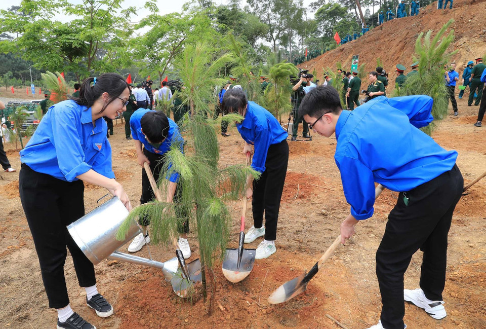 Các lực lượng tham gia trồng cây. (Ảnh: Trọng Đức/TTXVN)