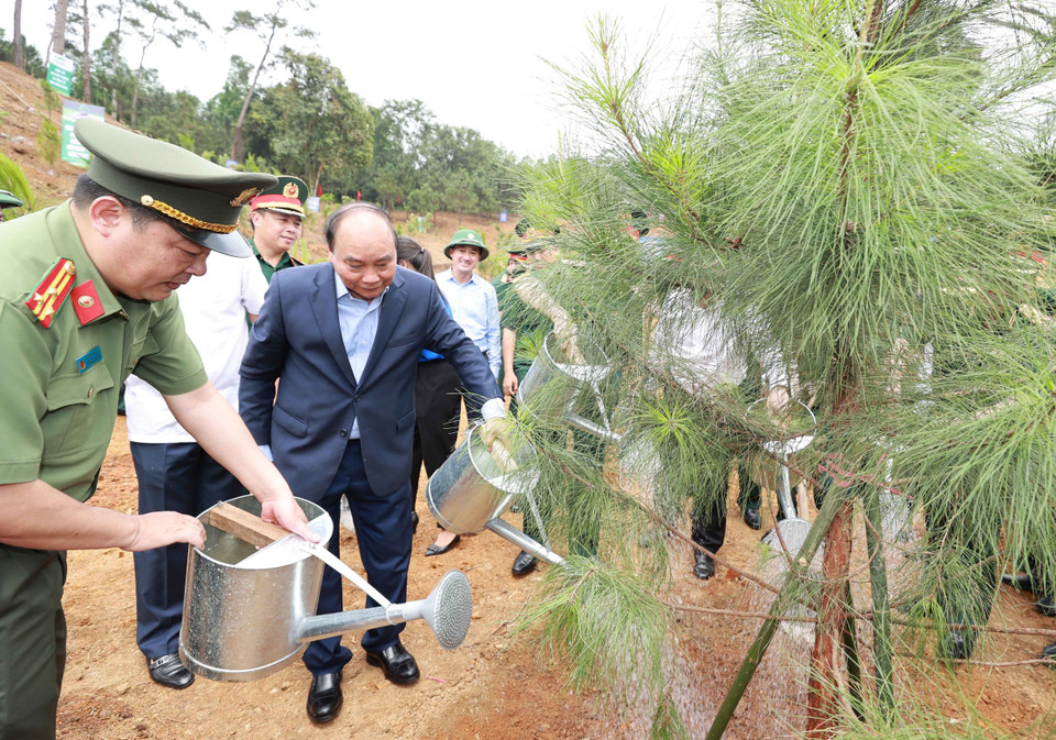 Chủ tịch nước Nguyễn Xuân Phúc cùng các đại biểu trồng cây tại Khu Di tích K9. (Ảnh: Thống Nhất/TTXVN)