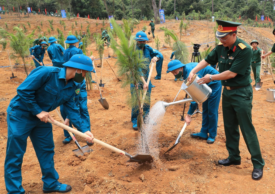 Các lực lượng tham gia trồng cây. (Ảnh: Trọng Đức/TTXVN)