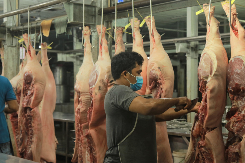 Thịt lợn được chuẩn bị để vận chuyển phân phối cho các tiểu thương ở các chợ trong thành phố. (Ảnh: Anh Tuấn/TTXVN)