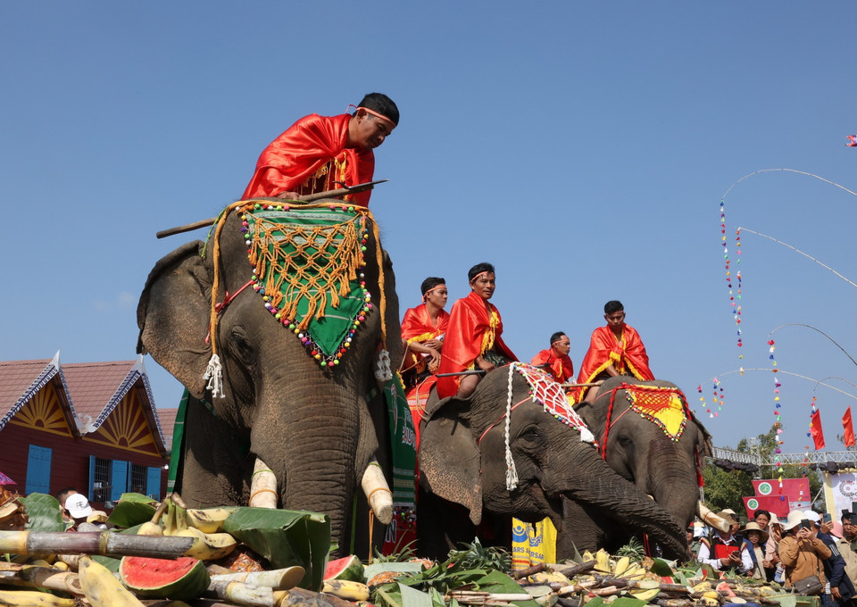 Voi dự tiệc buffet. (Ảnh: Tuấn Anh/TTXVN)