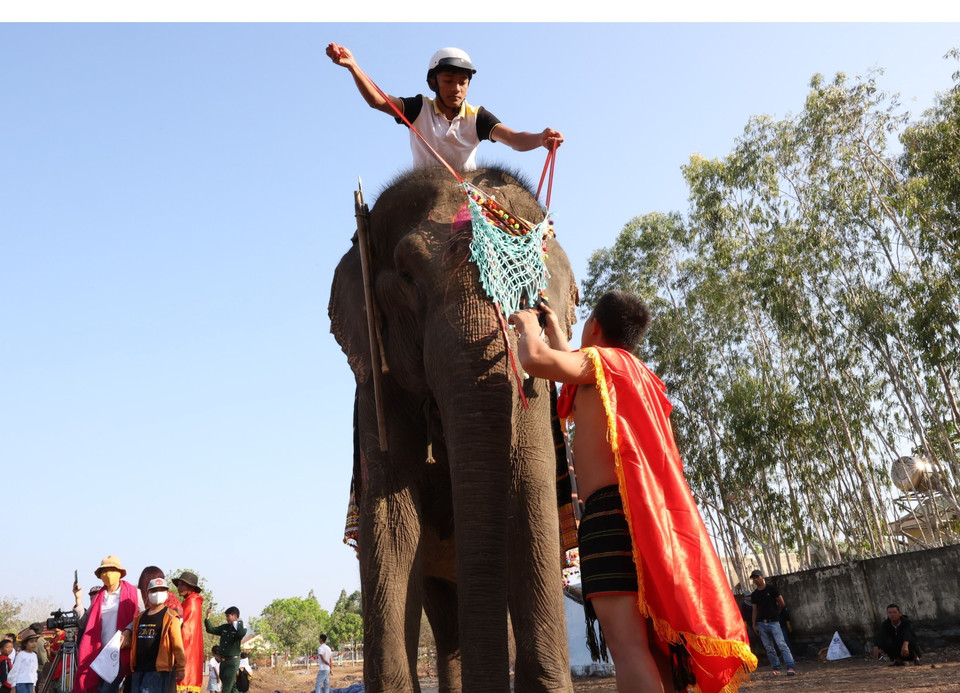 Ngày 12/3, tại xã biên giới Krông Na, huyện Buôn Đôn (Đắk Lắk), Ủy ban Nhân dân huyện Buôn Đôn tổ chức Khai mạc Hội voi Buôn Đôn năm 2023. (Ảnh: Tuấn Anh/TTXVN)